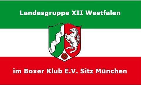 LG Pokal
