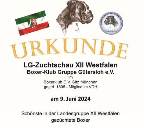 Schönste